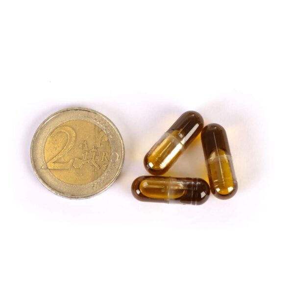 Medihemp - Cápsulas de CBD 5% (25mg) - Imagen 3